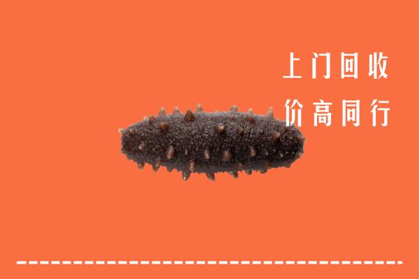 高价求购：佛山南海回收海参