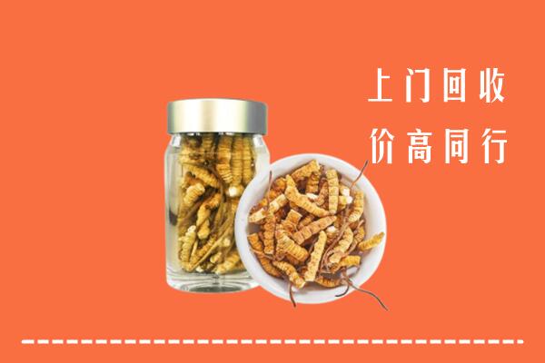 佛山南海回收冬虫夏草