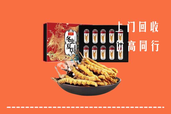 佛山南海回收虫草